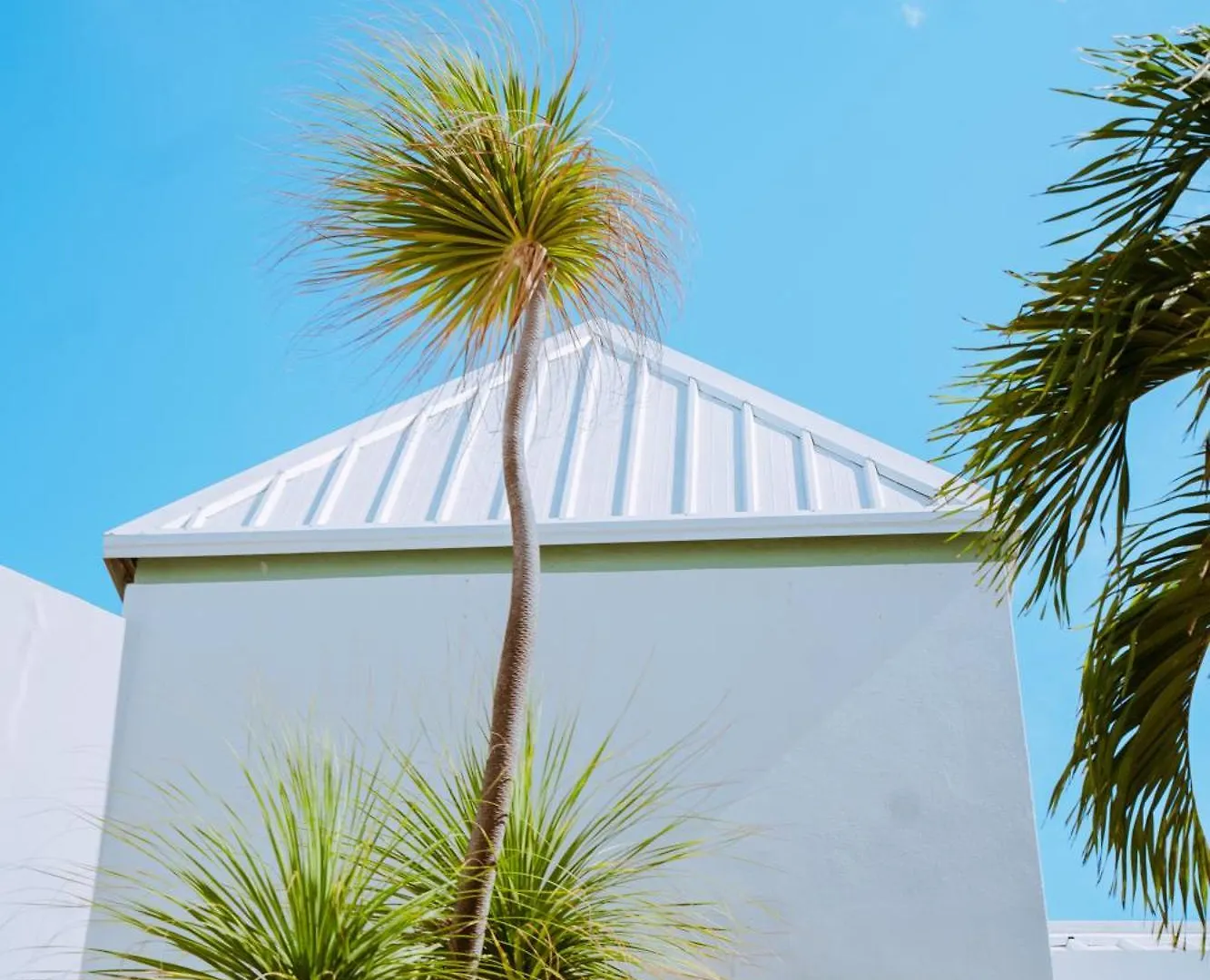 The Mill Resort And Suites Palm Beach Hotel