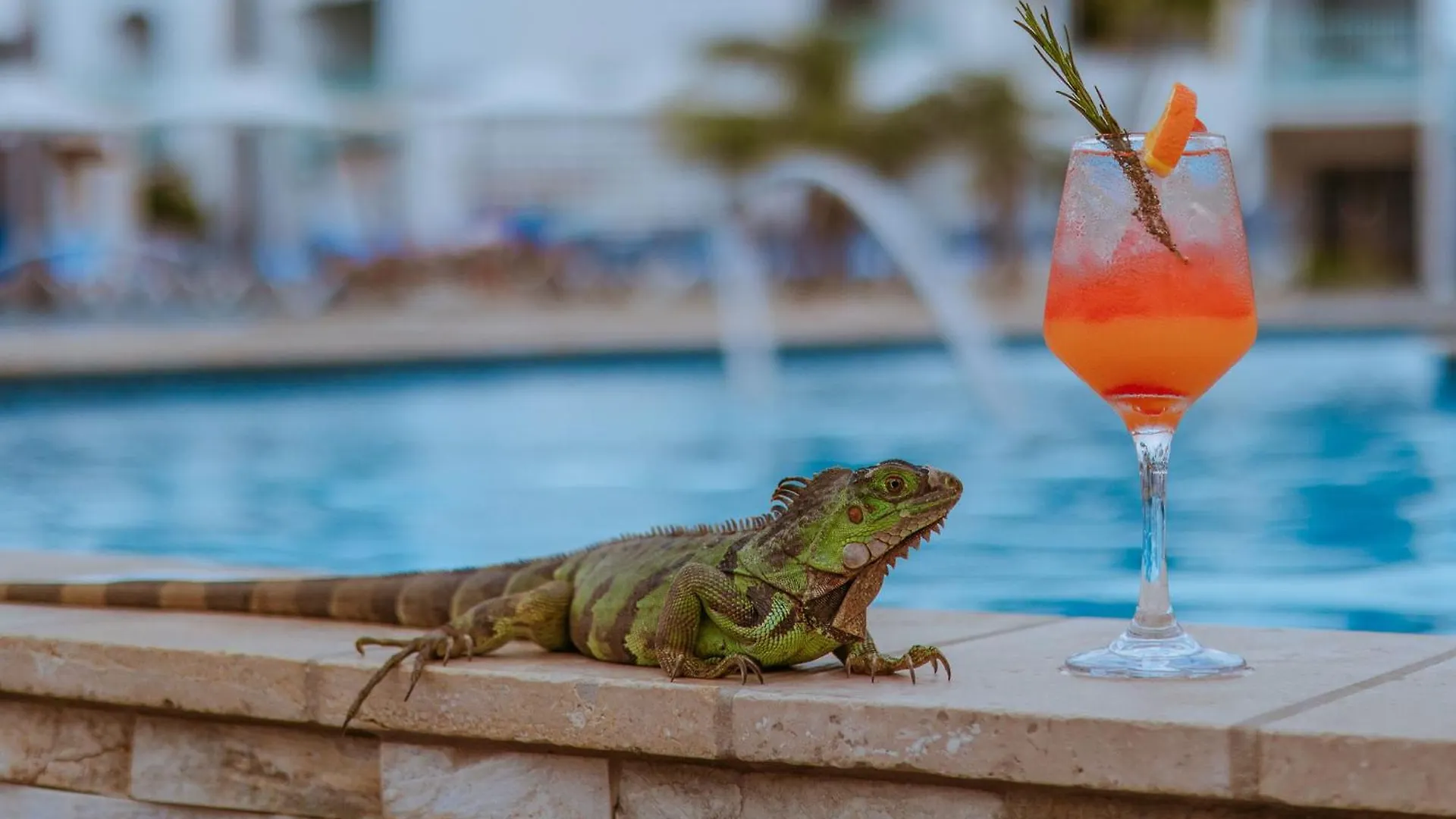 The Mill Resort And Suites Palm Beach Hotel